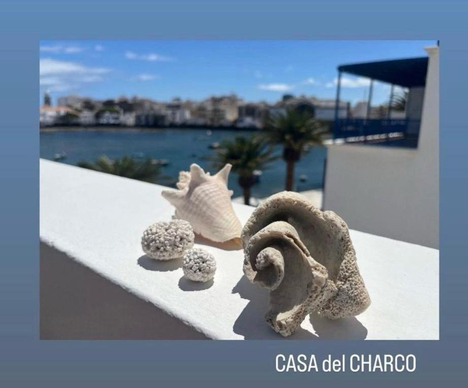 فيلا Casa Del Charco 2,0 أرّاثيفي المظهر الخارجي الصورة
